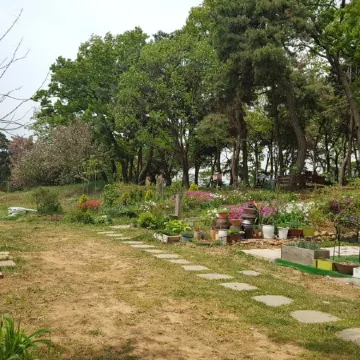 Ganghwado So Tree Farm Pension Отели рядом с достопримечательностью «Хвадо-тондэ»