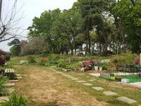 Ganghwado So Tree Farm Pension Hotels near Ganghwado