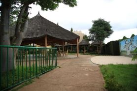 Le Baobab