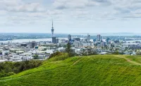 New Haven Motel Hotels in Piha