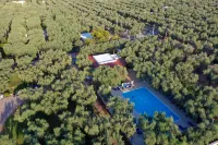 "melograno" Holiday Home Featured with Swimming Pool and Private Beach - Beach