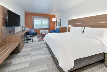 Holiday Inn Express & Suites Plano East - Richardson