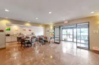 퀄리티 스위트 오스틴 사우스 세인트 엘모 디스트릭트