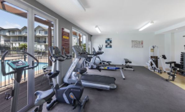 네수토 뉴헤이븐 이미지