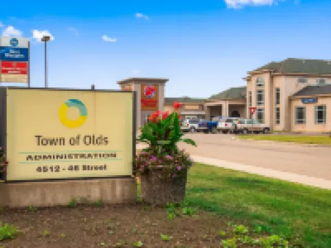 Best Western of Olds Hotels in Olds