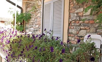 Bed and Breakfast Storico - Housity