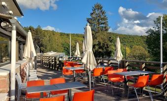 Hotel Parc & Spa les Cigognes