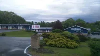 Coastal Inn - Kingfisher - Pet friendly