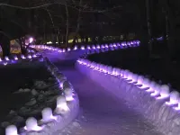 奧日光湯元溫泉紫雲莊 溫泉寺附近的飯店