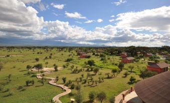a picturesque landscape with a winding path through a grassy field , surrounded by trees and buildings at Kilima Safari Camp
