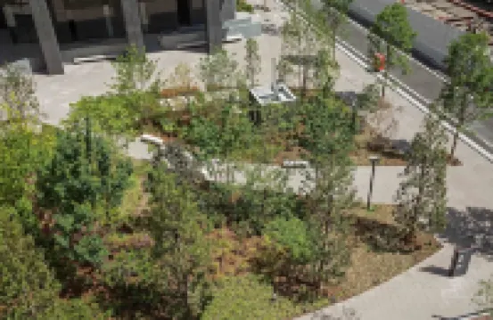 คอร์ทยาร์ด บาย แมริออท โตเกียว สเตชั่น โรงแรมในโตเกียว