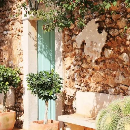 Finca Hotel Rural Es Turó