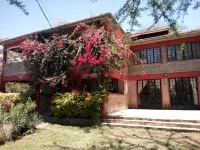 Hungry & T Hippo Hotels in Karagita
