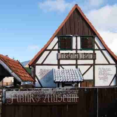 Harzhotel Guntersberge Hotel Exterior