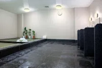 Hilton Tokyo Narita Airport - spa