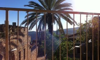 a palm tree is seen through a window , with buildings and trees in the background at Off The Square