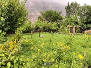 Countryside Resort Gilgit