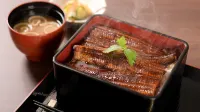 Hotel Nanvan Hamanako Hotels in Kosai