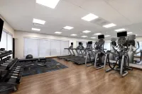 Holiday Inn Express & Suites Brighton Hotels in Genoa Township