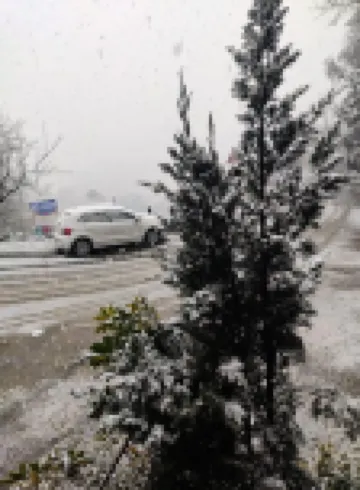 ネイチャートリートリゾート