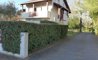 Les ecureuils