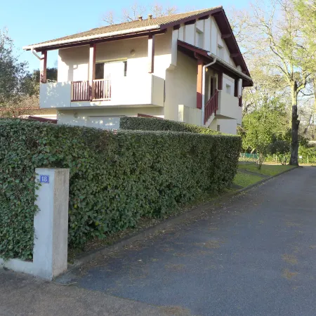 Les ecureuils