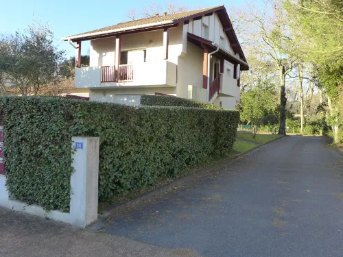 Les ecureuils