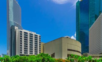 Comfort Inn & Suites Downtown Brickell-Port of Miami