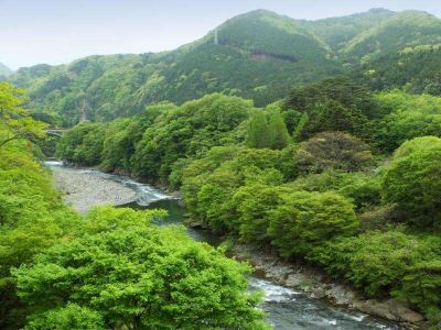 ホテル周辺 静寂とまごころの宿　七重八重の写真