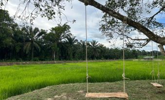 Baan Mae Resort, Tha Chana, Surat Thani