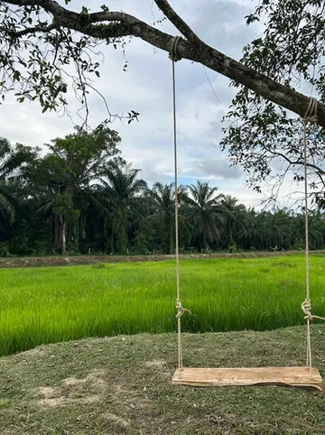 รูปภาพของบ้านแม่รีสอร์ท ท่าชนะ สุราษฎร์ธานี Baanmae Resort Thachana Suratthani