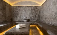 Hotel Radisson Blu Leninsky Prospect Hotel, Moscow - スパ