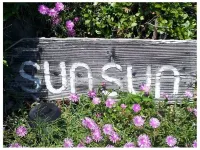 ＴＥＮＮＩＳ　ＰＥＮＳＩＯＮ　ＳＵＮＳＵＮ