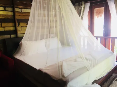 ดูเพล็กซ์