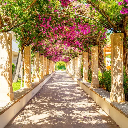 Hotel Rosella Affiliated by Intelier
