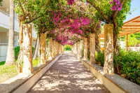 Hotel Rosella Affiliated by Intelier Hotels in Sant Llorenc des Cardassar