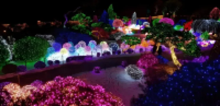 加平狐狸星旅館