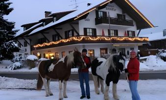 Hotel Schäfflerhof