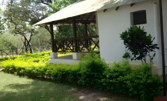 Woodland Adventure Resort