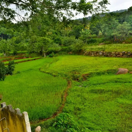 Hill Fort Hotel and Resorts Yelagiri Hills