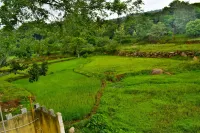 Hill Fort Hotel and Resorts Yelagiri Hills - 3 estrellas