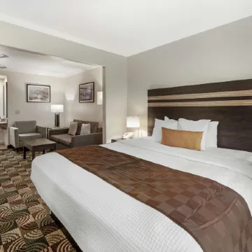 Best Western Plus Country Park Hotel