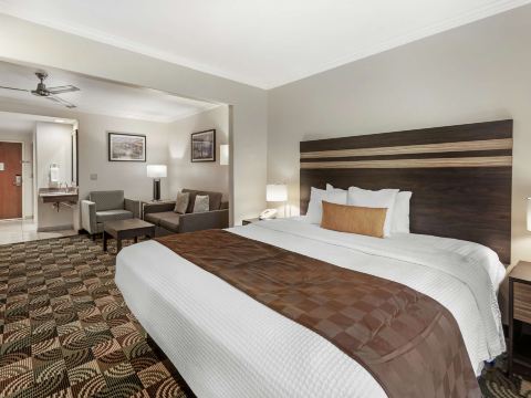 Best Western Plus Country Park Hotel