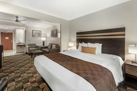 Best Western Plus Country Park Hotel