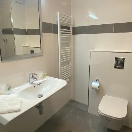 Hotel Regina Отели рядом с достопримечательностью «Хольцлар»