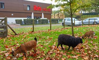Ibis le Mans Est Pontlieue