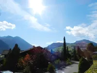 Fink Hotels in Zweisimmen