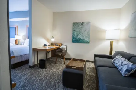 SpringHill Suites Winston-Salem Hanes Mall Отели рядом с достопримечательностью «Ханс Молл»