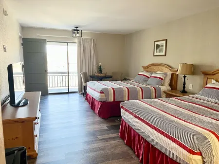 Little gem of Margaritaville( sleeps 12+2)NEW LISTING