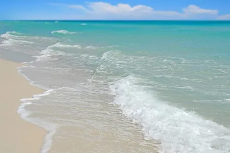 Florida Oasis-Steps to Beach-Pool-4 Beach Loungers-optional golf cart